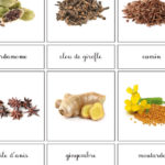 Cartes de nomenclature - Les épices (cursive) - Papille