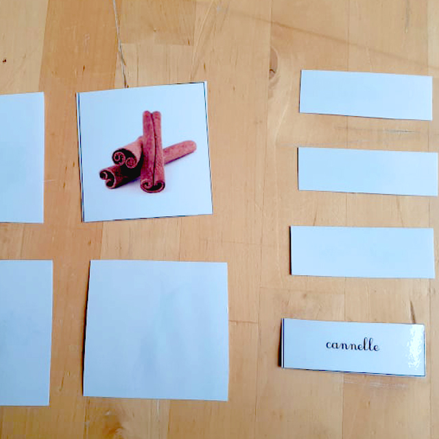 Jouer avec les cartes de nomenclature - Papille
