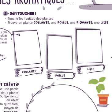 Atelier sensoriel sur les herbes aromatiques